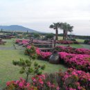 우도피아 이미지