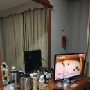 사직야구장 근처 가성비 호텔 연산 센트럴 호텔 후기