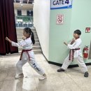 분당석사태권도장 이미지