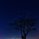 별빛목장 이미지