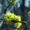 구름동산 이미지