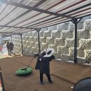 꿈키즈태권도장 이미지