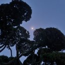 서천목욕탕 이미지