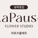 라포즈플레르