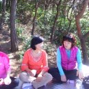 현순농장 Daum카페