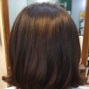She's(쉬즈)헤어