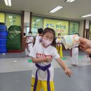 용인대 해동 태권도장 이미지