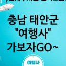 미스텀투어