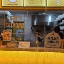또바기꼬마김밥 이미지
