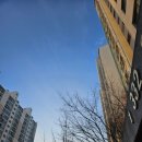 나를 찾아 떠나는 시나리오 글쓰기 | 나를 드러내지 않고는 진심을 담을 수 없다. (ft 글터지기) -블마강의 늦은 후기