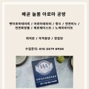 반려견 천연 아로마 테라피 이미지