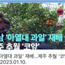 당산농원 네이버블로그