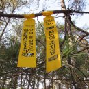 망월산 정상 이미지