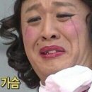 미스데이지