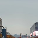 청운유치원 | 구석구석 트레일런 대회 참가 후기