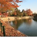 제기역 5번출구~6번출구 이미지