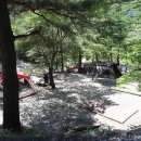 수봉야영장 이미지