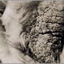 조정연동물병원 이미지