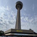 (주)리얼미디어웍스 | 토론토 나이아가라 폭포 당일치기 투어 6월 - 맛집 더웍스 &amp; 필리터리 와이너리