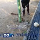 감정중학교 이미지