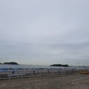 전곡항마리나 이미지