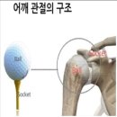 필로스짐 이미지