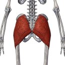 이지휘트니스 이미지