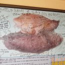 성원식당 이미지