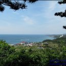 천제연폭포 이미지