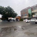 황금코다리무안점 이미지