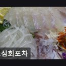 청정선어마차 | 제주도연동맛집 초심회포차 신선한 해산물과 가성비 좋은 포차