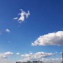 하늘 카카오 검색결과