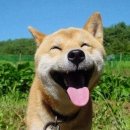 고고상점 - 부천시 원미구 | 고고상점