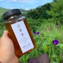 고대미농장 이미지