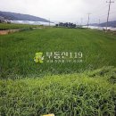 충도리농장 이미지