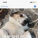 오늘버거 이미지