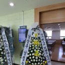 효성성모병원 이미지