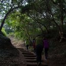 옥룡사지 이미지