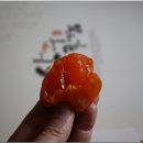 상주선농원