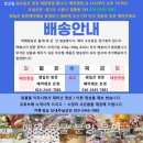 미니친칠라데구 / Degu 칠레산다람쥐 데구분양중입니다.노멀데구 블루데구 파이드데구분양중~