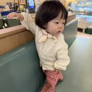 두두보보
