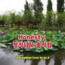 Honesty /Billy Joel/ Altosaxophone Cover/ 이미지