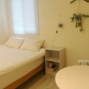 고목나무 이미지