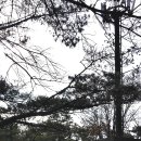 봉천동 마애미륵불 좌상 이미지