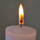 세븐일레븐 태백황지청솔점 | 태백타로 해수심리타로 방문후기