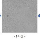 블루통상 이미지