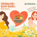강원친환경유기농 이미지