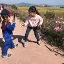 동월마을회관 이미지