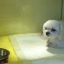 백호동물병원 이미지