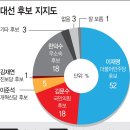 [뉴스 정치일반] 金·韓 공동정부 단일화 안하면 대선 필패 이미지